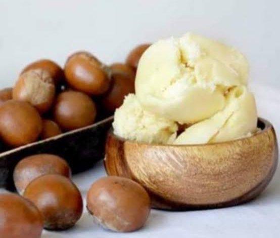 Najeriya Na Da Damar Bunƙasa Tattalin Arziki Ta Man Kadanya 5 images 25 554x470 1